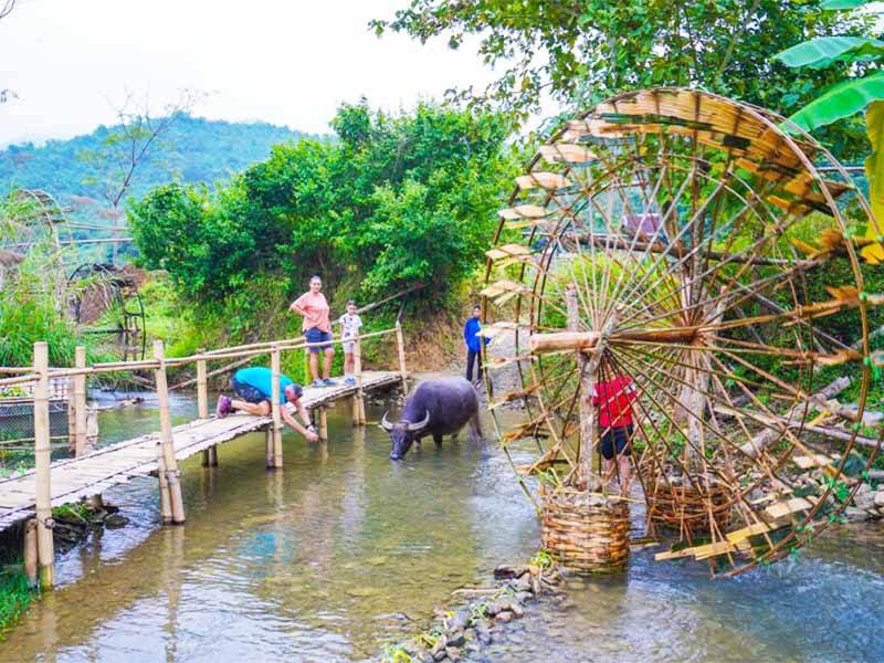 Pu Luong Full Day Tour: Bamboo Bridge - Cycling - Buffalo Cart Ride -  Hieu Waterfall - 1 Day