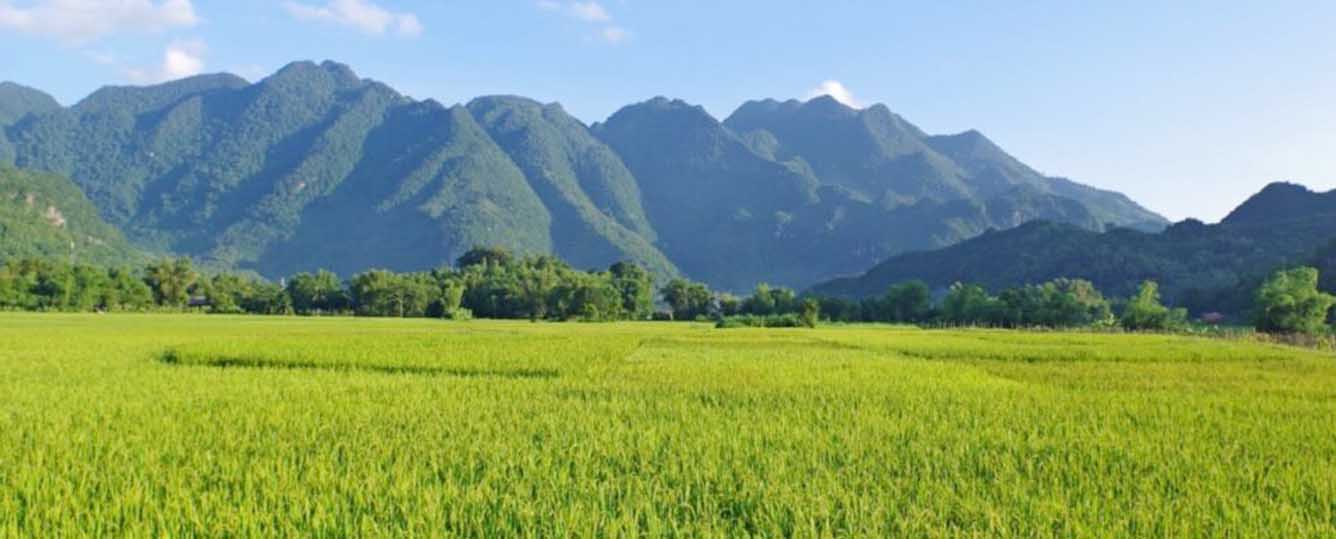 Mai Chau Leisure Tour - 3 Days 2 Nights